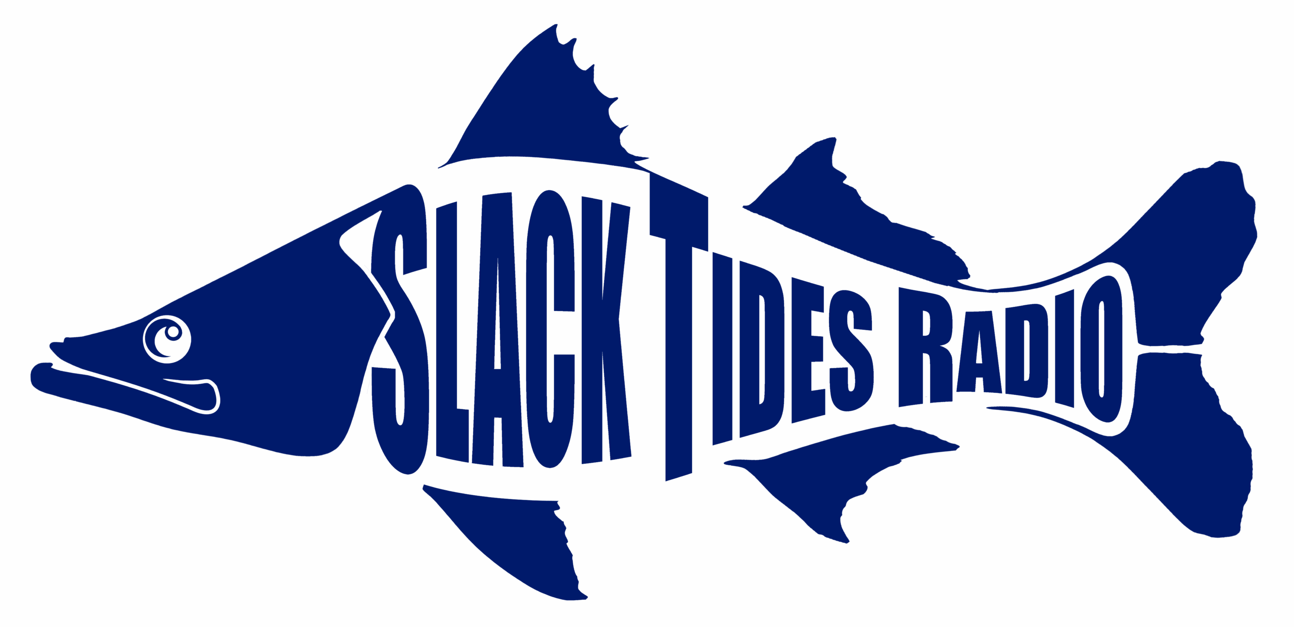 A WordPress Site